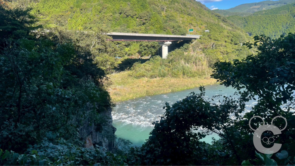 巻の渕周辺の奈半利川と崖の景観。木々の間から川面と断崖が見え、向こうに橋がかかっている