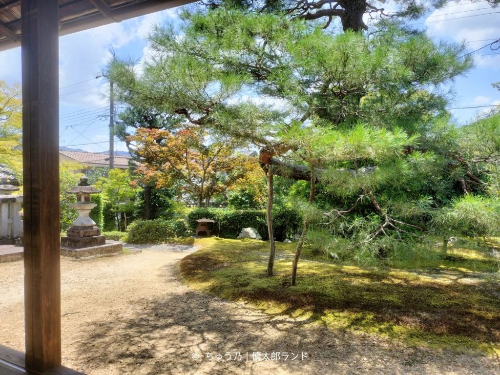 岩倉具視幽棲旧宅の縁側から見た庭と松