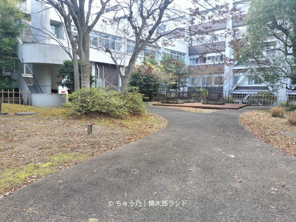 京都大学農学部総合館前。並木道と農学部総合館の建物