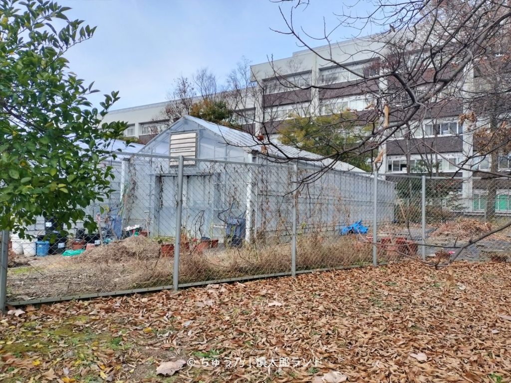 京都大学理学研究科付近の建物と温室。旧白川村にあたる北部構内の様子