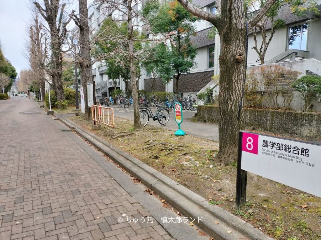 京都大学理学部付近の構内。木々に囲まれた建物と通路