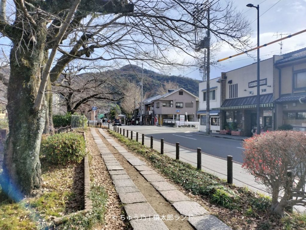 京都・白川疎水通の風景。銀閣寺方面に向かう白川疎水沿いの道