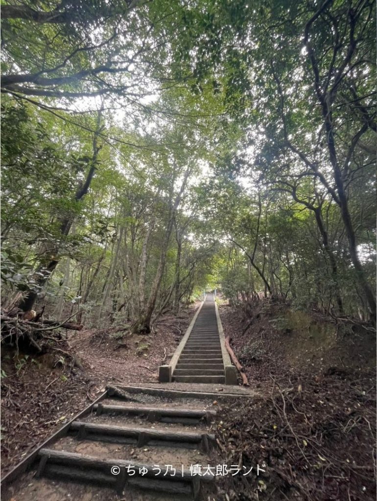 京都・大文字山の登山道。木々に囲まれた山道に長い階段が続き、火床へ向かって登っていく。