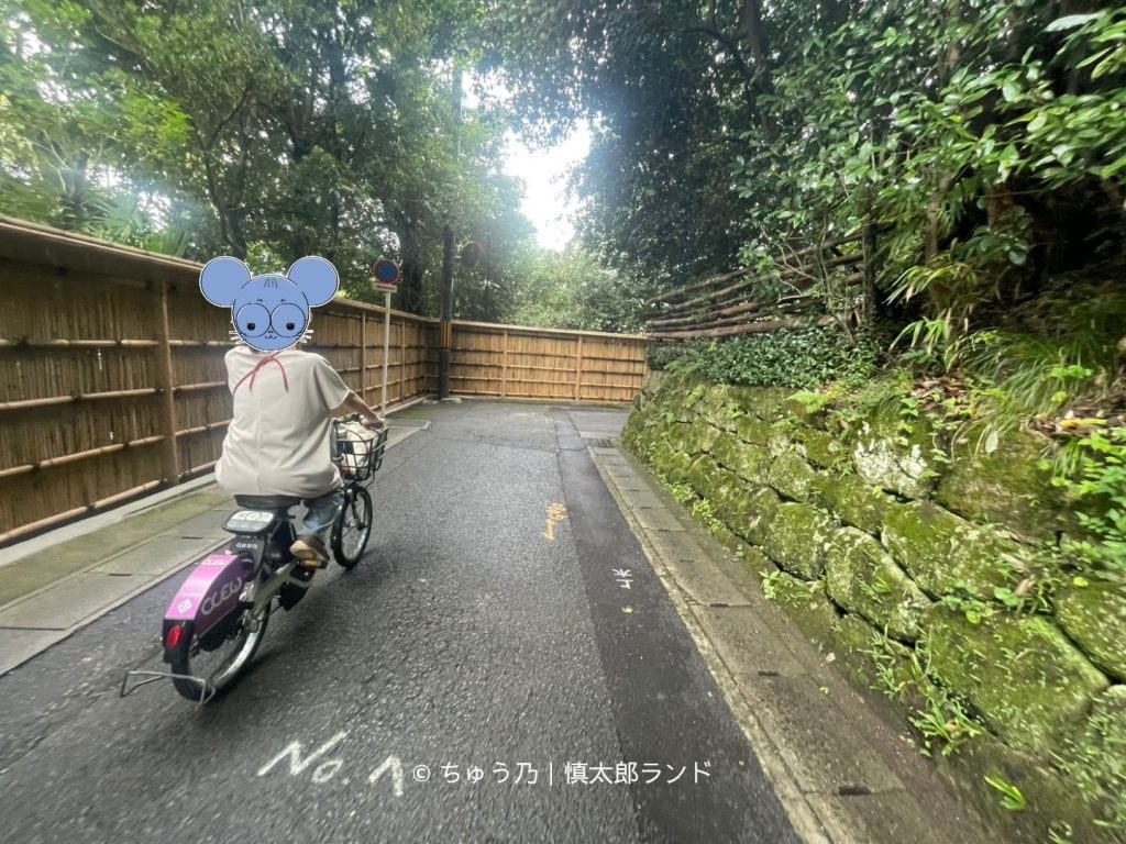 京都・法然院通りをレンタサイクルで走る様子。竹垣と緑に囲まれた道を銀閣寺方面へ進む。