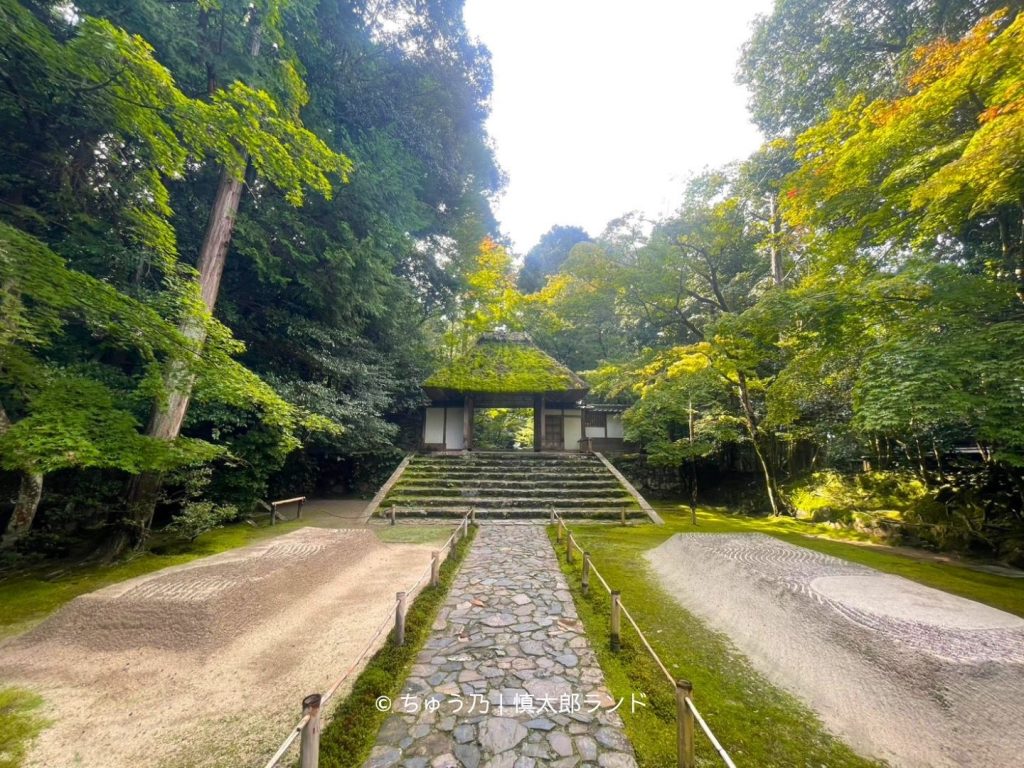 京都・法然院の参道に並ぶ白砂壇（びゃくさだん）と苔むした茅葺の山門。周囲を緑豊かな木々が囲む。